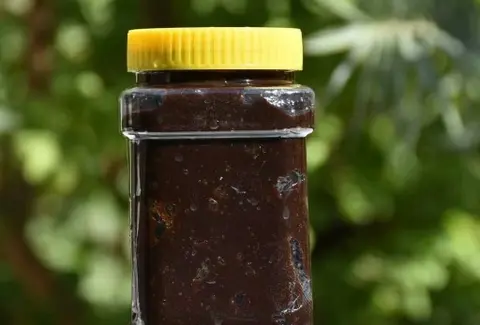 مشخصات رب انار جنگلی و نحوه خرید عمده