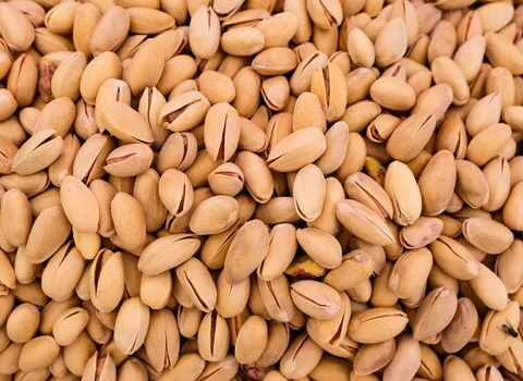 لیست قیمت پسته خام رفسنجان به صورت عمده و با صرفه