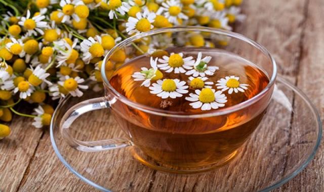خرید عمده گیاه بابونه دارویی با بهترین شرایط