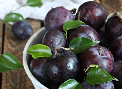 قیمت و خرید آلو سیاه درشت با مشخصات کامل