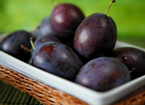 آلو سیاه شابلون همراه با توضیحات کامل و آشنایی