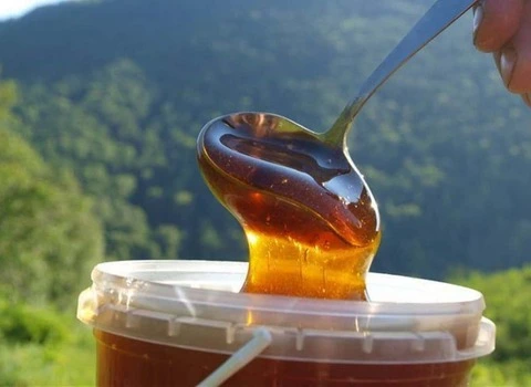 عسل کوهی اردبیل همراه با توضیحات کامل و آشنایی