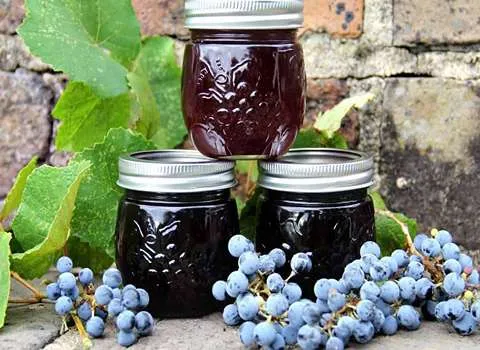 مشخصات شیره انگور غلیظ و نحوه خرید عمده