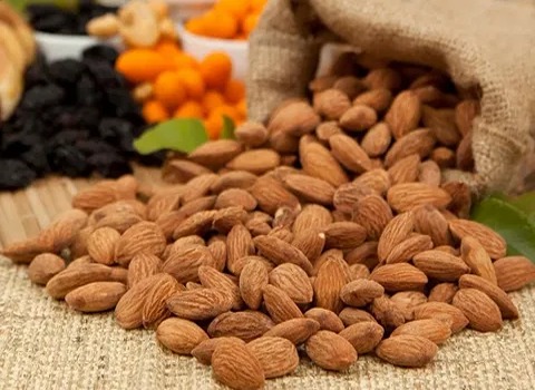 قیمت خرید عمده بادام سنگی تازه ارزان و مناسب