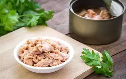 قیمت و خرید کنسرویجات به ویژه تن ماهی با مشخصات کامل