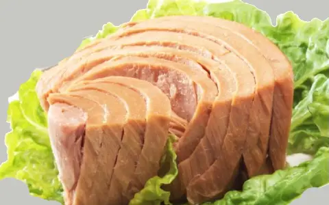 قیمت خرید عمده کنسرو تن ماهی بدون روغن ارزان و مناسب