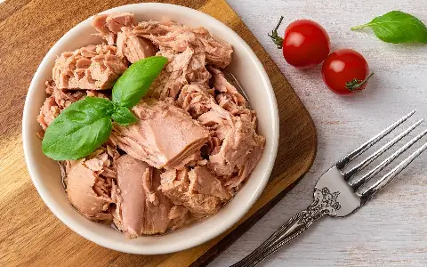 کنسرو تن ماهی بزرگ آشنایی صفر تا صد قیمت خرید عمده