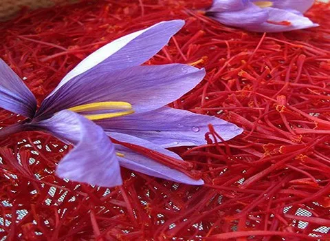 خرید عمده زعفران سرگل قائنات یک گرمی با بهترین شرایط