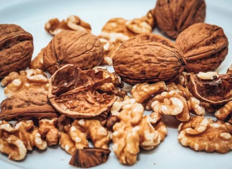 خرید عمده مغز گردو خارجی با بهترین شرایط