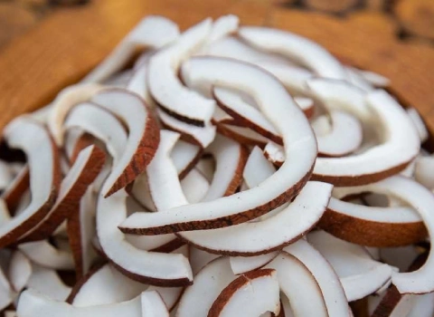 مشخصات نارگیل خشک تازه و نحوه خرید عمده