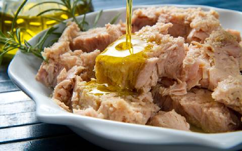 راهنمای خرید کنسرو ماهی دودی با شرایط ویژه و قیمت استثنایی