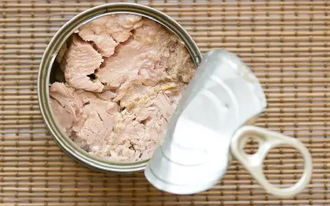 قیمت و خرید کنسرو ماهی خانگی با مشخصات کامل