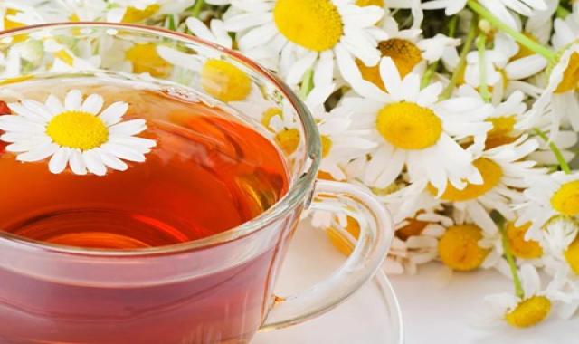 گل بابونه وحشی همراه با توضیحات کامل و آشنایی