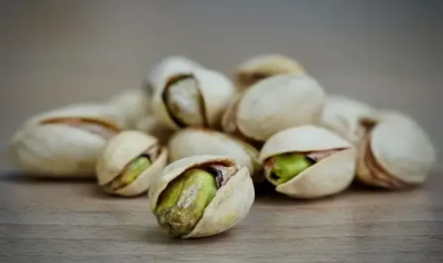 راهنمای خرید پسته اکبری اصفهان با شرایط ویژه و قیمت استثنایی