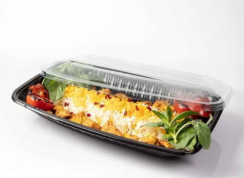 لیست قیمت دیس یکبار مصرف مجلسی به صورت عمده و با صرفه