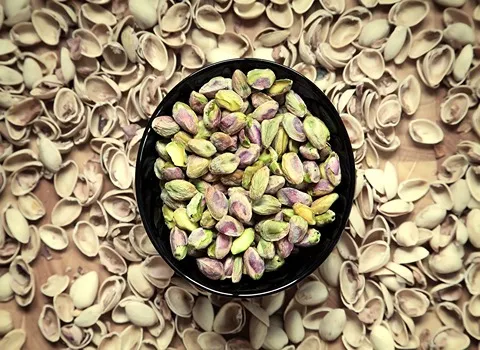 قیمت و خرید پسته اکبری تازه با مشخصات کامل