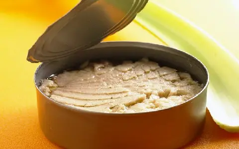 لیست قیمت کنسرو ماهی صادراتی به صورت عمده و با صرفه