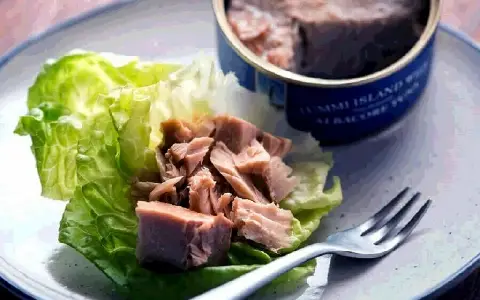 کنسرو ماهی رژیمی آشنایی صفر تا صد قیمت خرید عمده