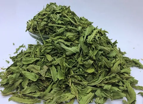 قیمت خرید عمده گیاه دارویی نعناع فلفلی ارزان و مناسب