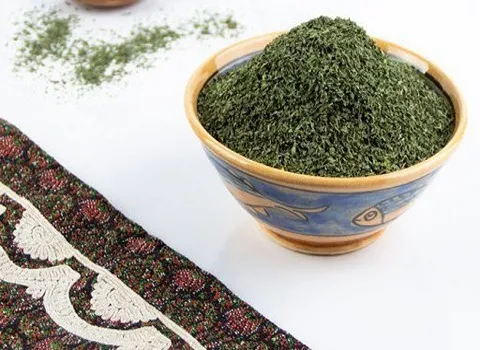 مشخصات گیاه دارویی نعنا و نحوه خرید عمده