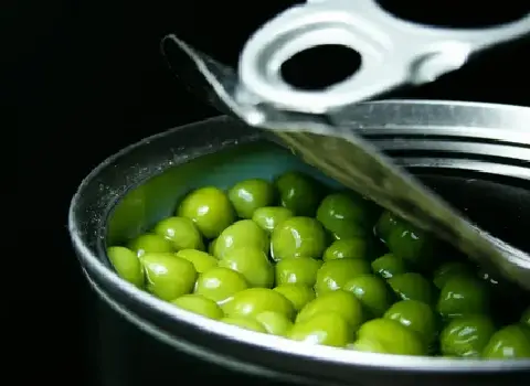 کنسرو لوبیا سبز آشنایی صفر تا صد قیمت خرید عمده