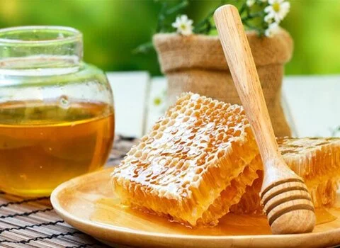 خرید عمده عسل شوید اصل با بهترین شرایط