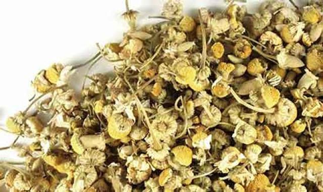 قیمت و خرید بابونه شیرازی خشک شده با مشخصات کامل