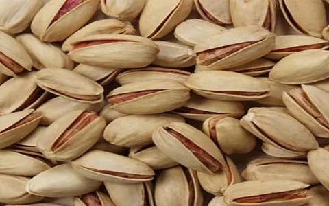 قیمت خرید عمده پسته خام سفید ارزان و مناسب