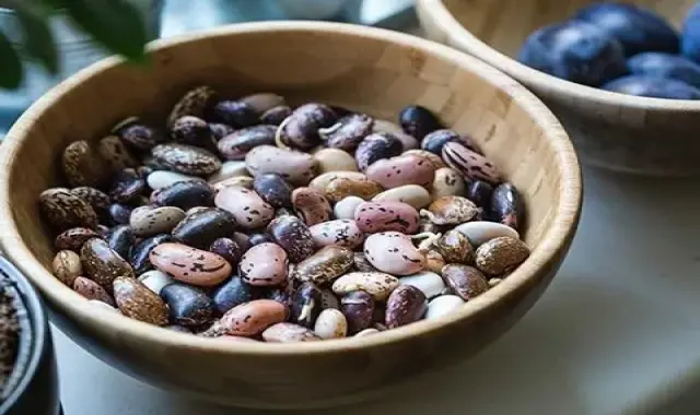 لیست قیمت لوبیا چیتی مجلسی تازه به صورت عمده و با صرفه