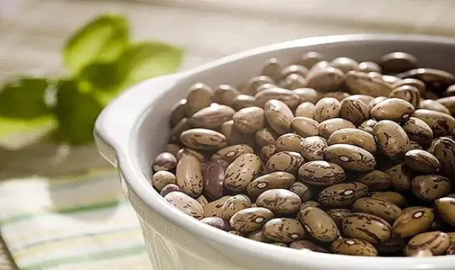 لوبیا چیتی ایرانی درجه یک آشنایی صفر تا صد قیمت خرید عمده