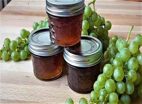 قیمت و خرید مربا انگور قرمز با مشخصات کامل