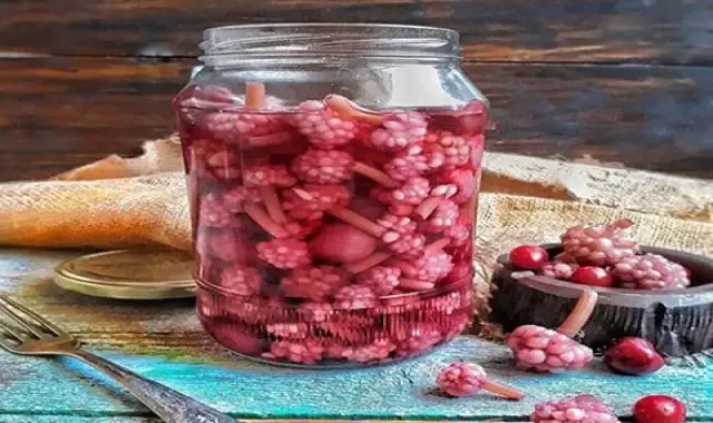 ترشی سیر قرمز همراه با توضیحات کامل و آشنایی
