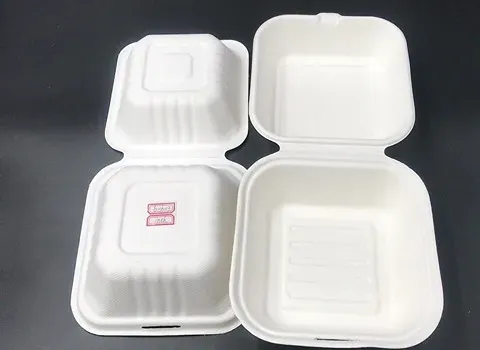 قیمت خرید عمده ظرف یکبار مصرف نیم پرسی ارزان و مناسب