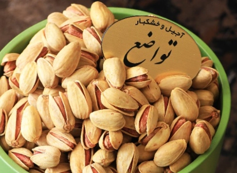 پسته اکبری نمکی تواضع آشنایی صفر تا صد قیمت خرید عمده