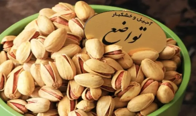 پسته اکبری نمکی تواضع آشنایی صفر تا صد قیمت خرید عمده