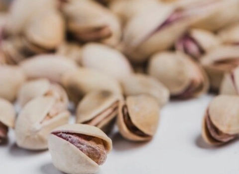 قیمت و خرید پسته اکبری دستچین خام با مشخصات کامل