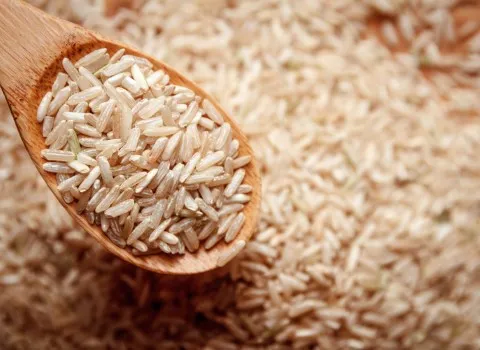 خرید عمده برنج قهوه ای اصفهان با بهترین شرایط