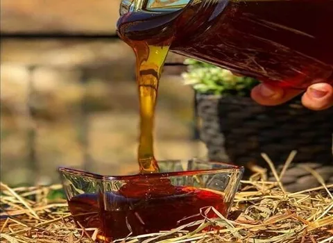 عسل زرشک خراسان جنوبی همراه با توضیحات کامل و آشنایی