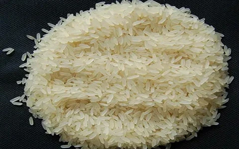 خرید عمده برنج هاشمی لاهیجان با بهترین شرایط