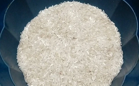 قیمت خرید عمده برنج هاشمی ممتاز ارزان و مناسب