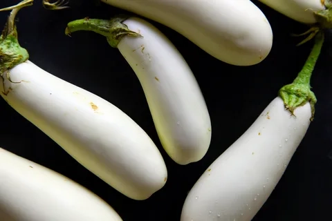 قیمت و خرید بادمجان سفید ابرقو با مشخصات کامل