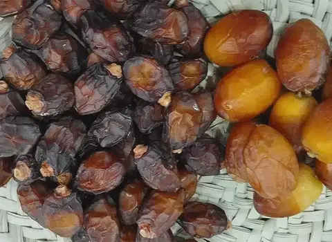 آموزش خرید خرمای مرداسنگ تازه صفر تا صد