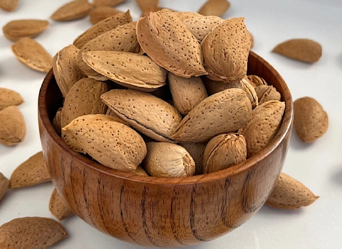 خرید عمده بادام مامایی اصفهان با بهترین شرایط