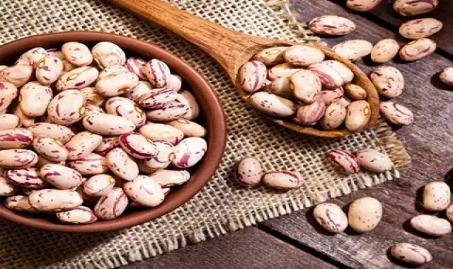 راهنمای خرید لوبیا چیتی کنسروی با شرایط ویژه و قیمت استثنایی