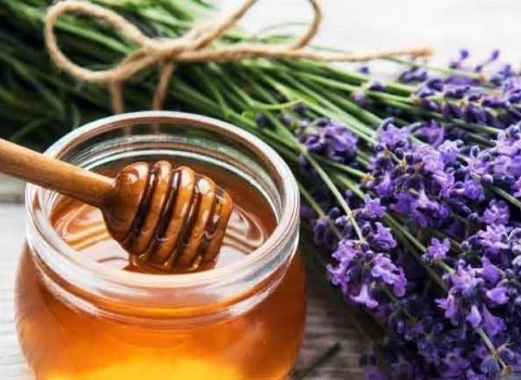 خرید عمده عسل تک گل گون با بهترین شرایط