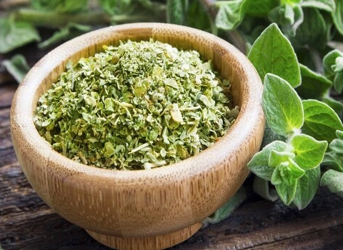 خرید عمده پونه کوهی خشک شده با بهترین شرایط