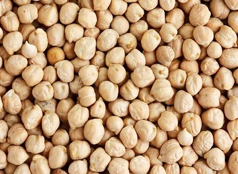 مشخصات نخود سفید کرمانشاه و نحوه خرید عمده