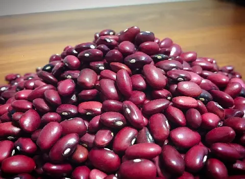 مشخصات لوبیا قرمز قورمه سبزی و نحوه خرید عمده