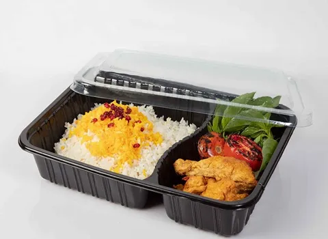 قیمت خرید عمده ظروف یکبار مصرف گیاهی دیس ارزان و مناسب