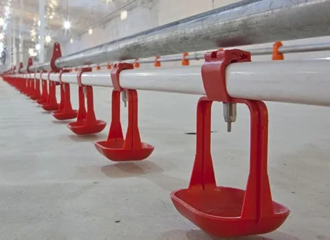 راهنمای خرید آبخوری مرغ اتوماتیک با شرایط ویژه و قیمت استثنایی